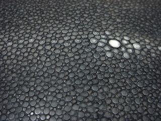 エイの革アップ