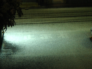 今朝の雪