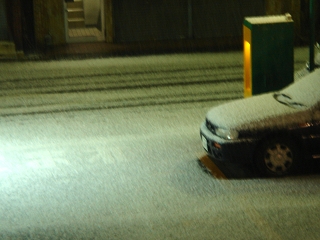 今朝の雪