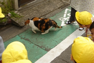 かんなちゃんと幼稚園児たち２