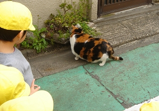 かんなちゃんと幼稚園児たち３