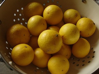 ゴールデンオレンジ