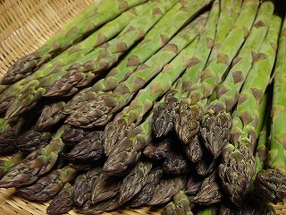 ニセコのアスパラ