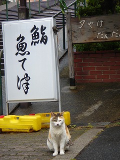 夕やけだんだん