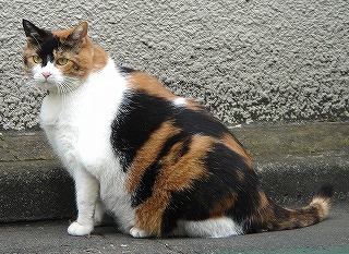 かんなちゃん横向き