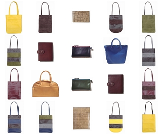 ｱﾅｻﾞｰﾋﾞｰｹｰｼﾞｰ