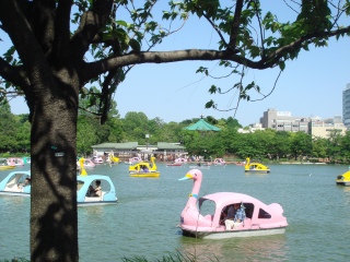 上野公園ボート池
