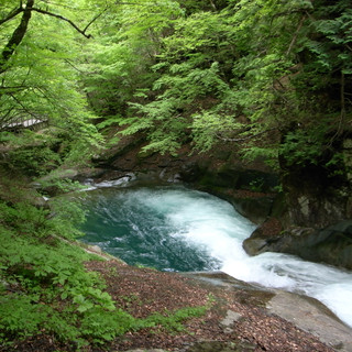 西沢渓谷３