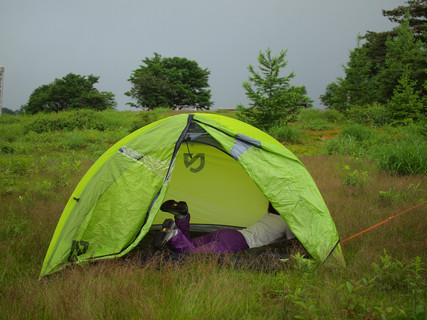 ｹｰｺﾆｰﾓ初張り