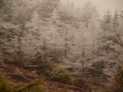黒斑山20120511①